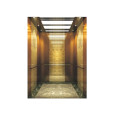 Attractive Luxury Building Passenger Lift Price